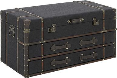 DUBLIN TRUNK COFFEE TABLE