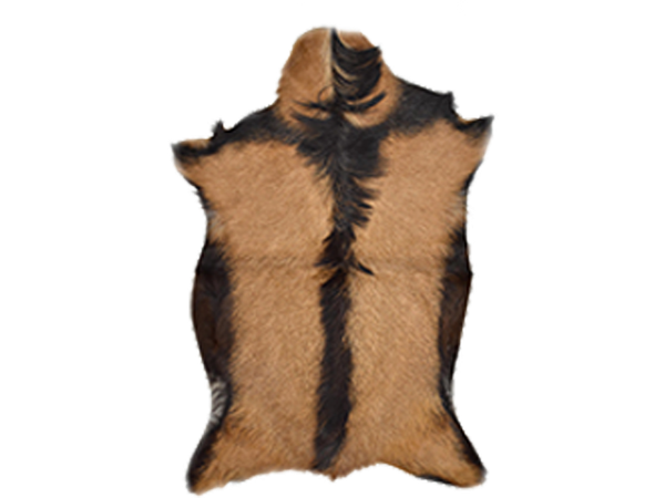 Jael Goat Hide Pelts
